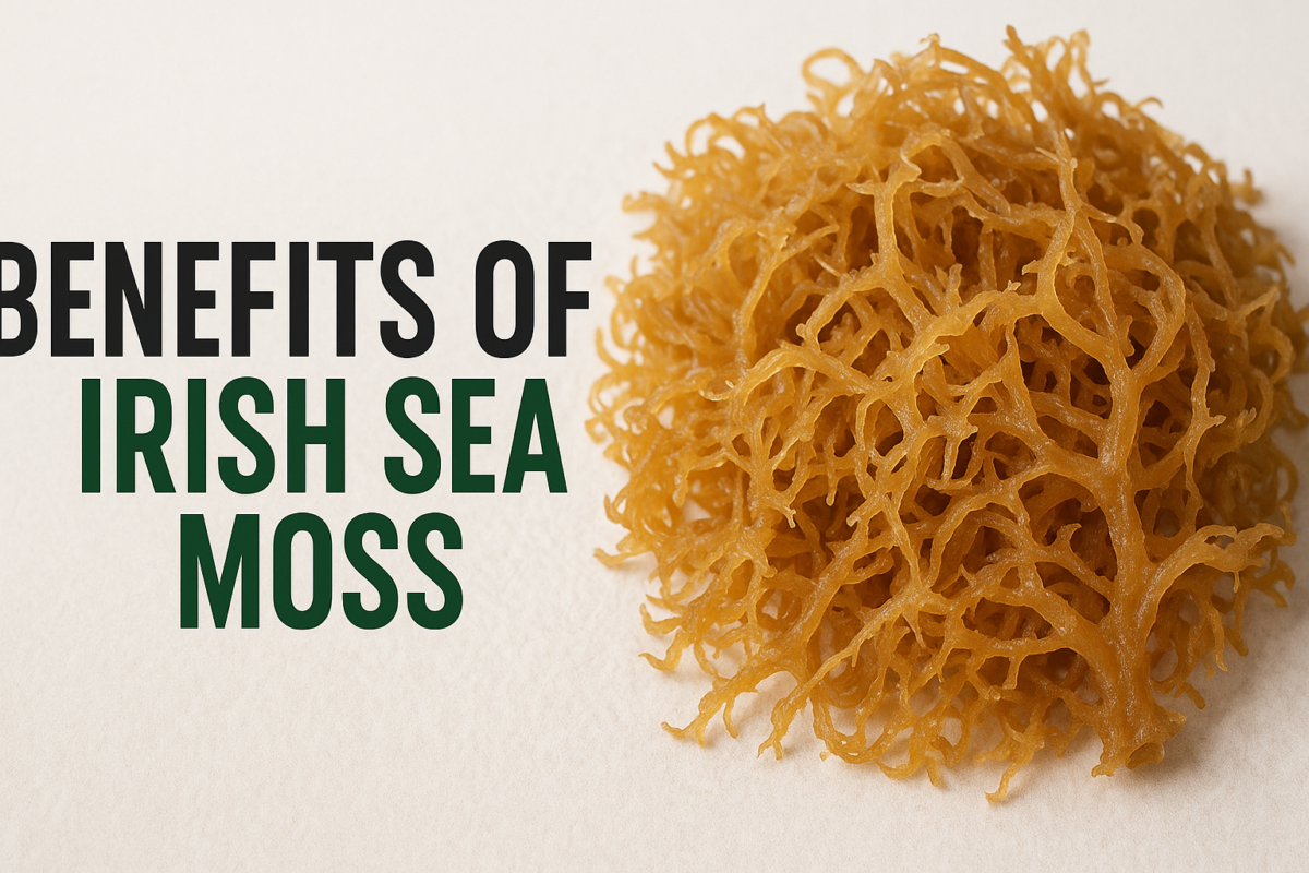 Benefits of Irish Sea Moss